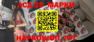 кокс Можга