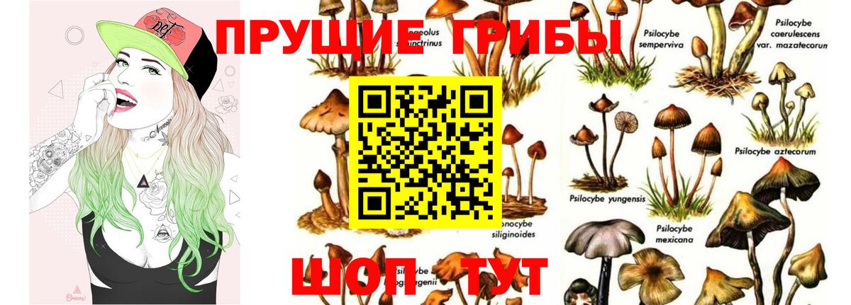 Псилоцибиновые грибы Magic Shrooms Шелехов
