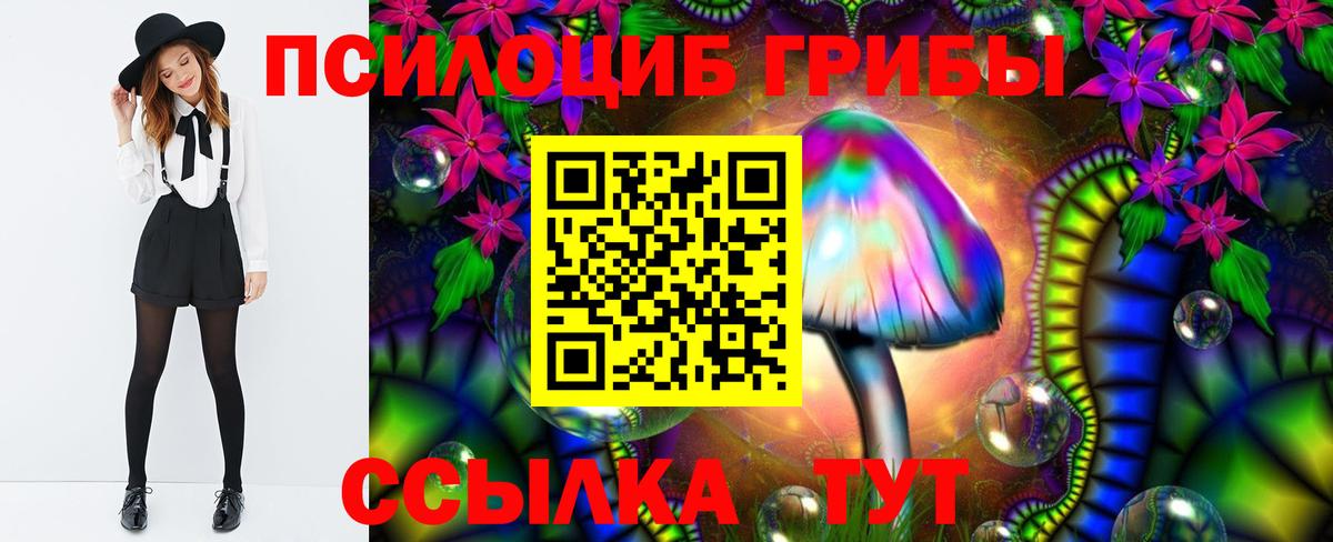 где можно купить   Псилоцибиновые грибы Psilocybine cubensis  Вход с VPN  Шелехов 